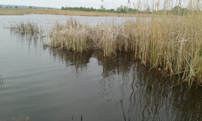 20170501_100903.jpg