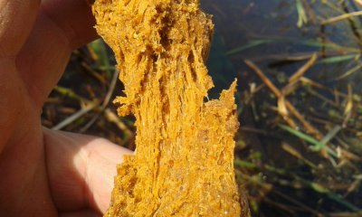 20170502_095912.jpg