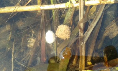 20170502_102849.jpg