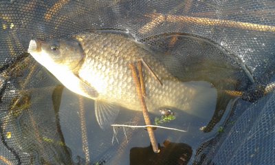 20170502_093034.jpg