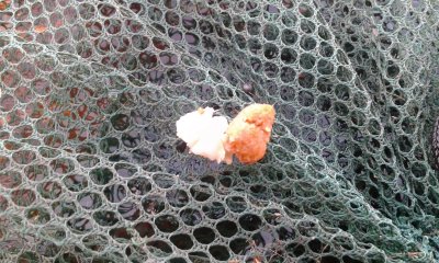 20170502_093431.jpg