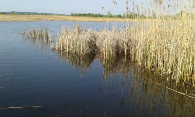 20170502_094307.jpg