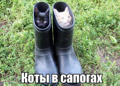 1h749lujt.jpg