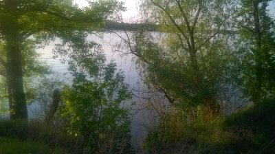 WP_20170507_003.jpg