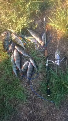 WP_20170507_008.jpg