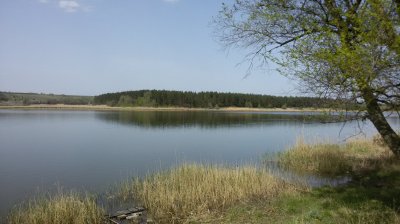 Сонцовка_3.jpg