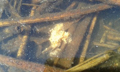 20170507_113148.jpg