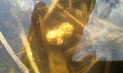 20170507_172508.jpg