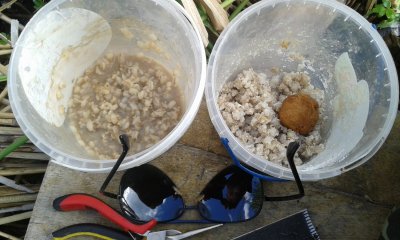 20170507_173901.jpg