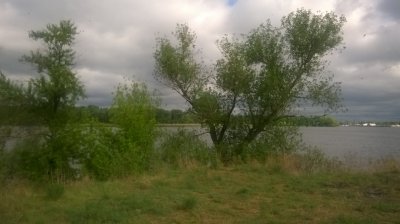 WP_20170509_001.jpg