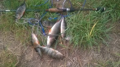 WP_20170509_004.jpg