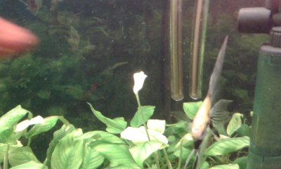 20170511_081934.jpg