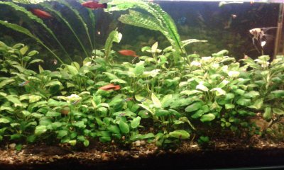 20170511_082001.jpg
