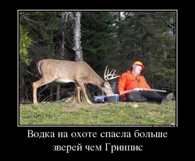 image1.jpg