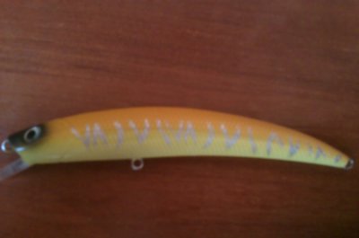 IMAG0803.jpg