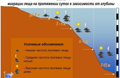 Скриншот (2017.05.10 23-08-35).jpg