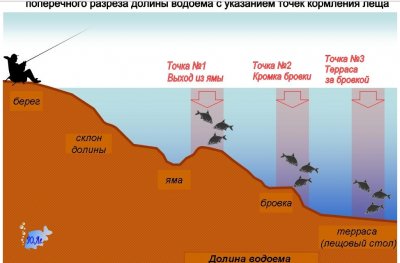 Скриншот (2017.05.10 23-09-50).jpg