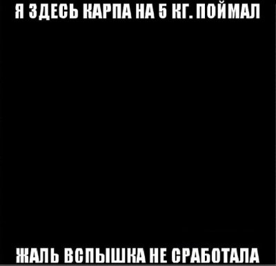 4e35c804e3f2.jpg