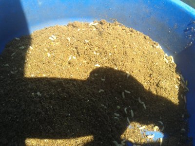 20170511_131446.jpg