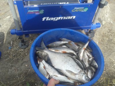 20170511_154607.jpg