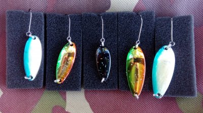 IMG_20170518_105529.jpg