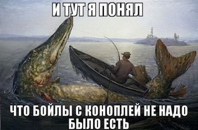 02ae702a77f29c83a6f4a45373031c76.jpg