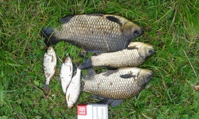 20170521_140542.jpg