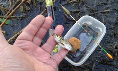 20170521_074326.jpg