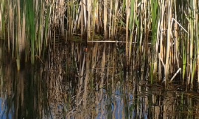 20170521_075256.jpg