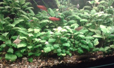 20170521_192031.jpg
