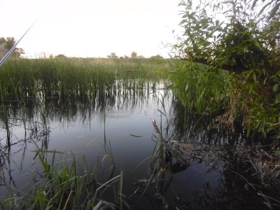 P1040037.JPG