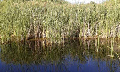 20150612_184445.jpg
