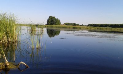 20150612_184452.jpg