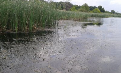 20160710_115815.jpg