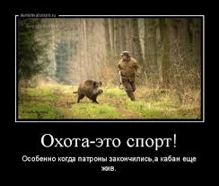 images (1).jpg