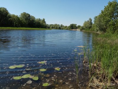 IMG_20170525_100447.jpg