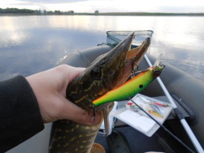 DSCN3520.JPG