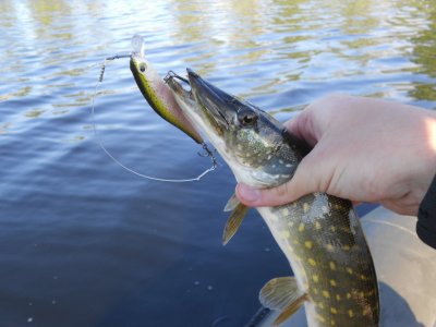 DSCN3529.JPG