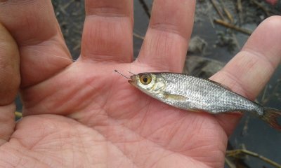 20170527_181544.jpg