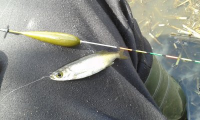 20170527_114758.jpg