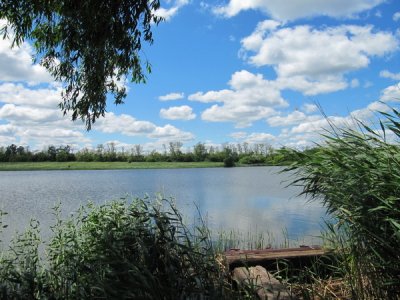 IMG_9596.JPG