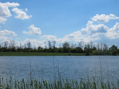 IMG_8522.JPG