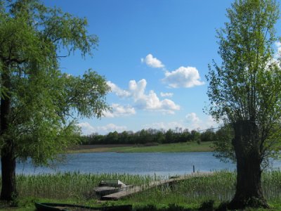 IMG_8586.JPG