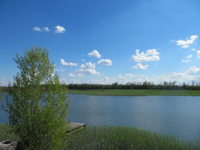IMG_8577.JPG