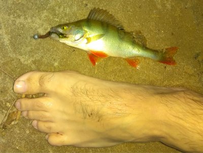 IMG_20170530_204358.jpg