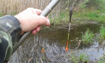 20170501_094450.jpg