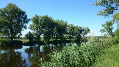 DSC_2380.JPG