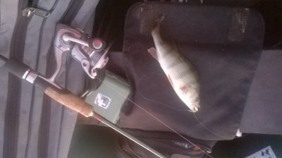 WP_20170610_004.jpg