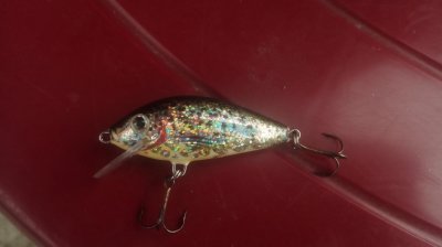 IMG_20170611_112922.jpg