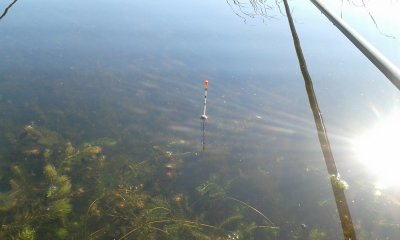 20170611_082513.jpg